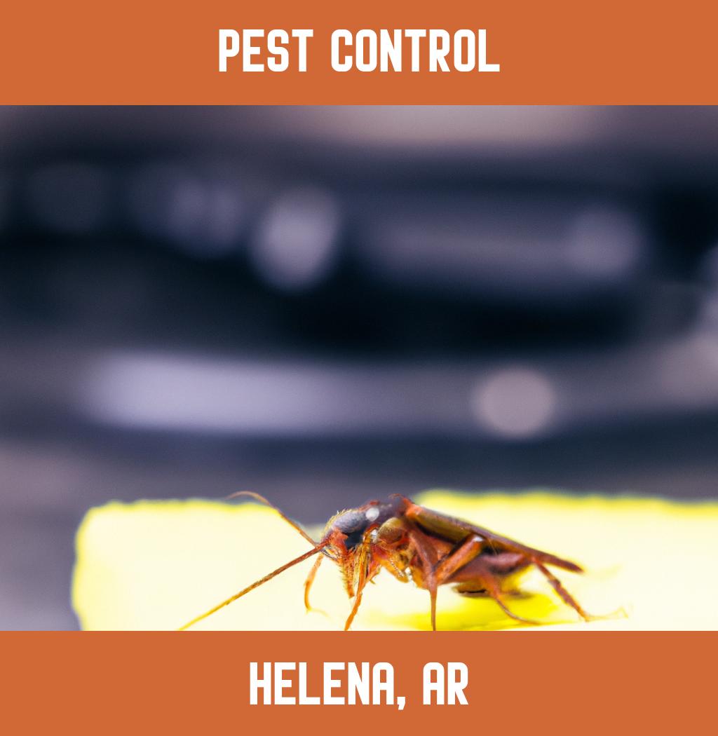 pest control in Helena Arkansas