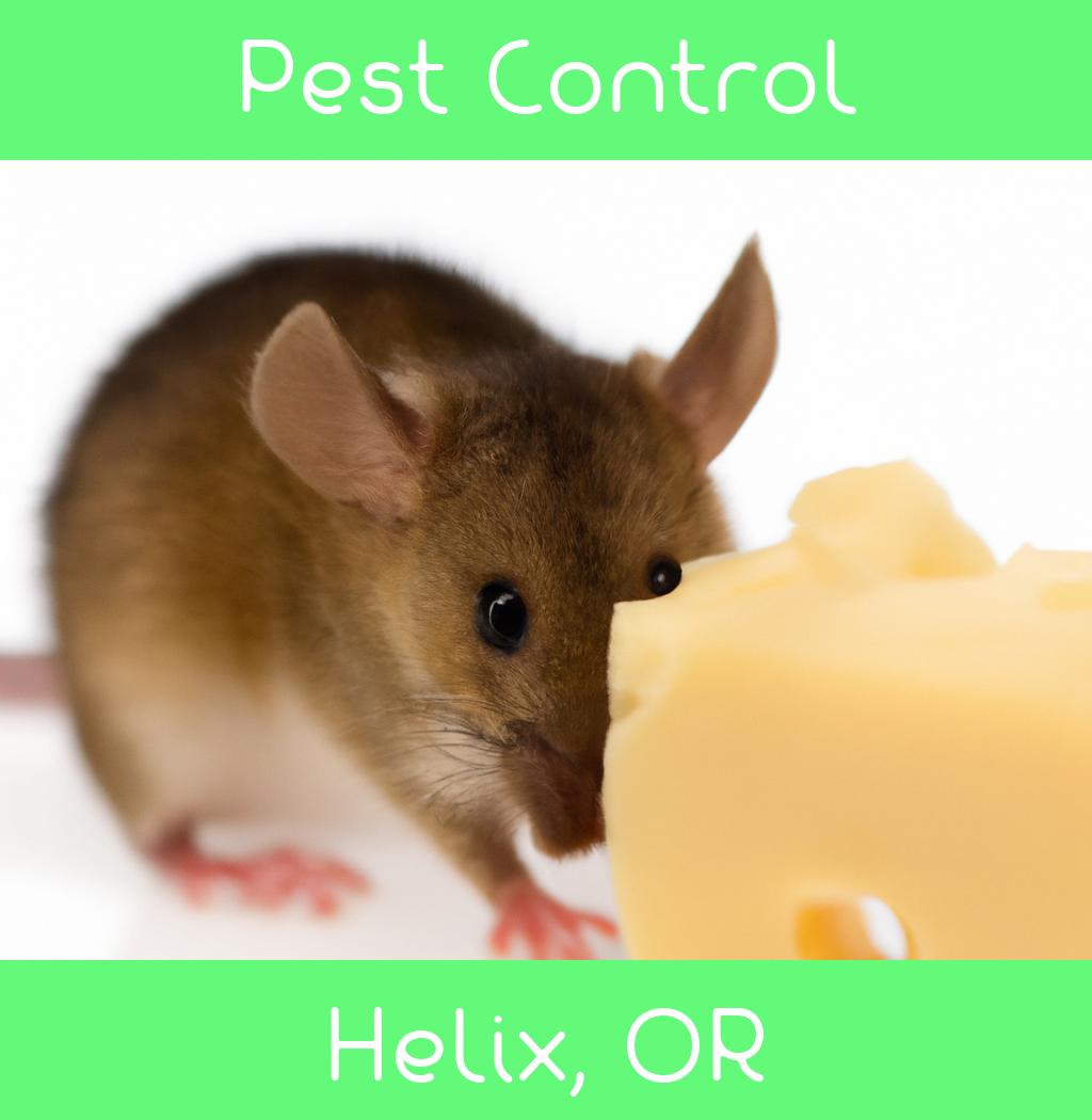 pest control in Helix Oregon