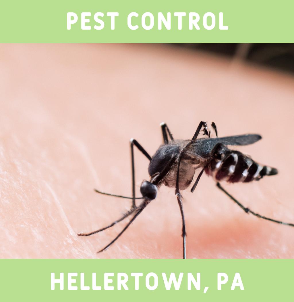 pest control in Hellertown Pennsylvania