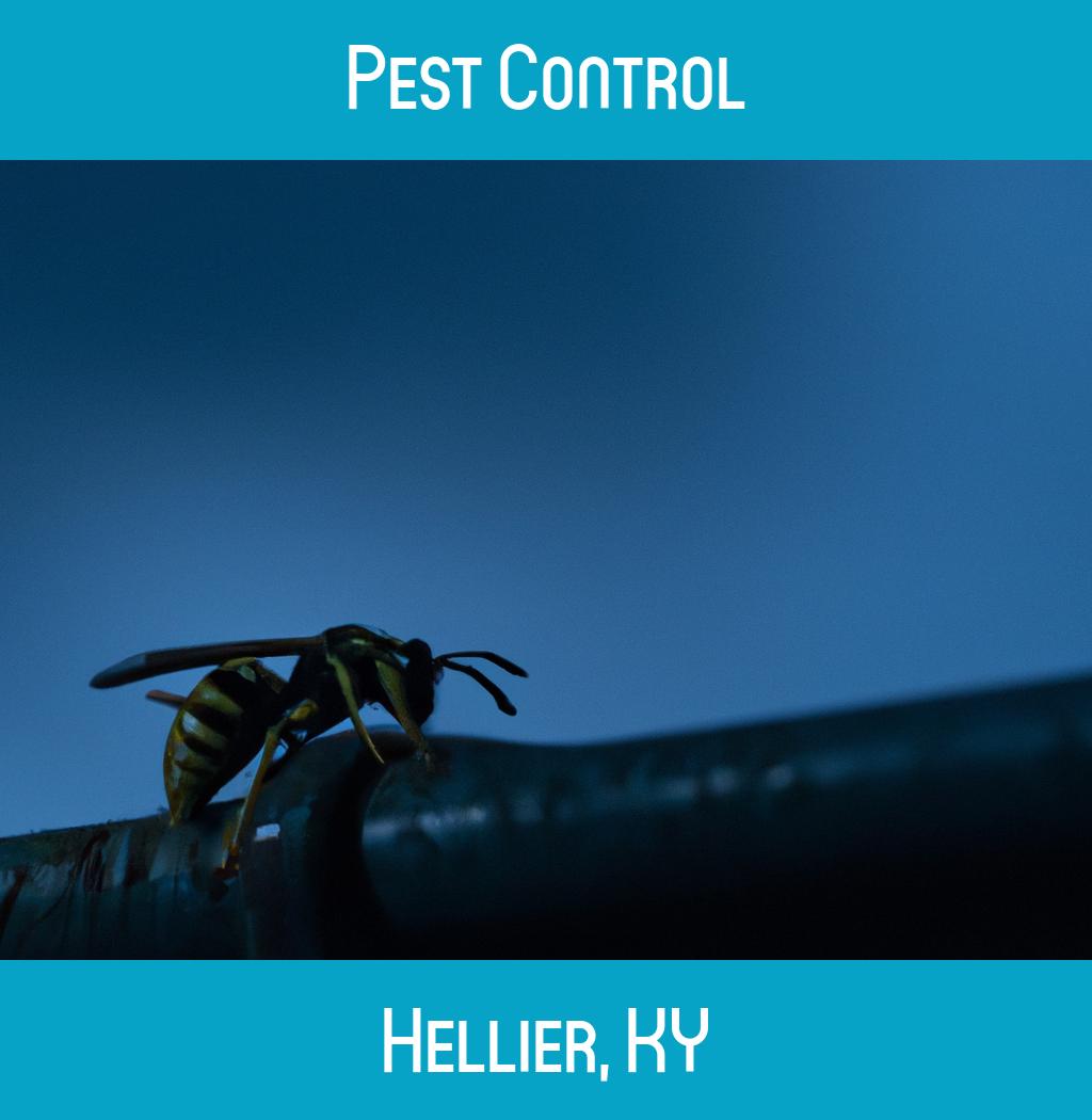 pest control in Hellier Kentucky