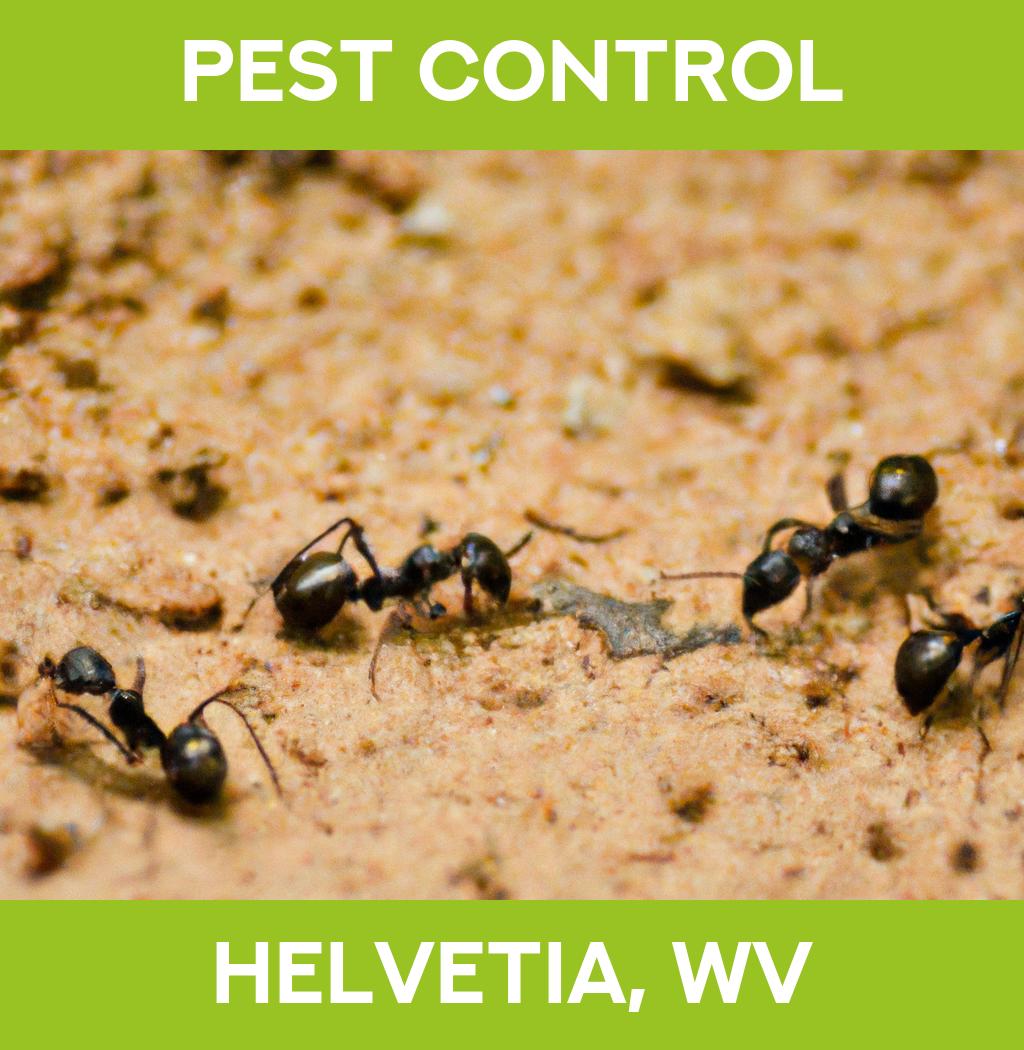 pest control in Helvetia West Virginia