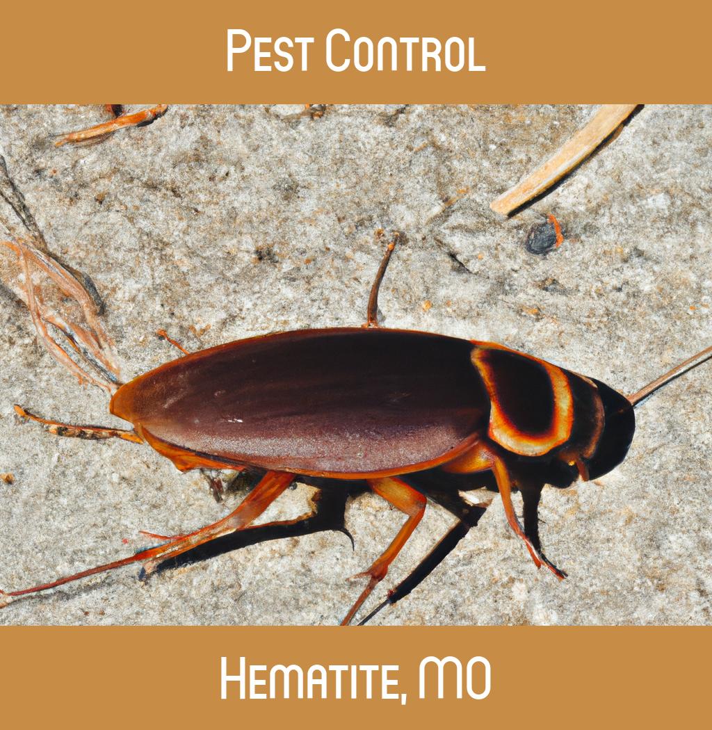 pest control in Hematite Missouri