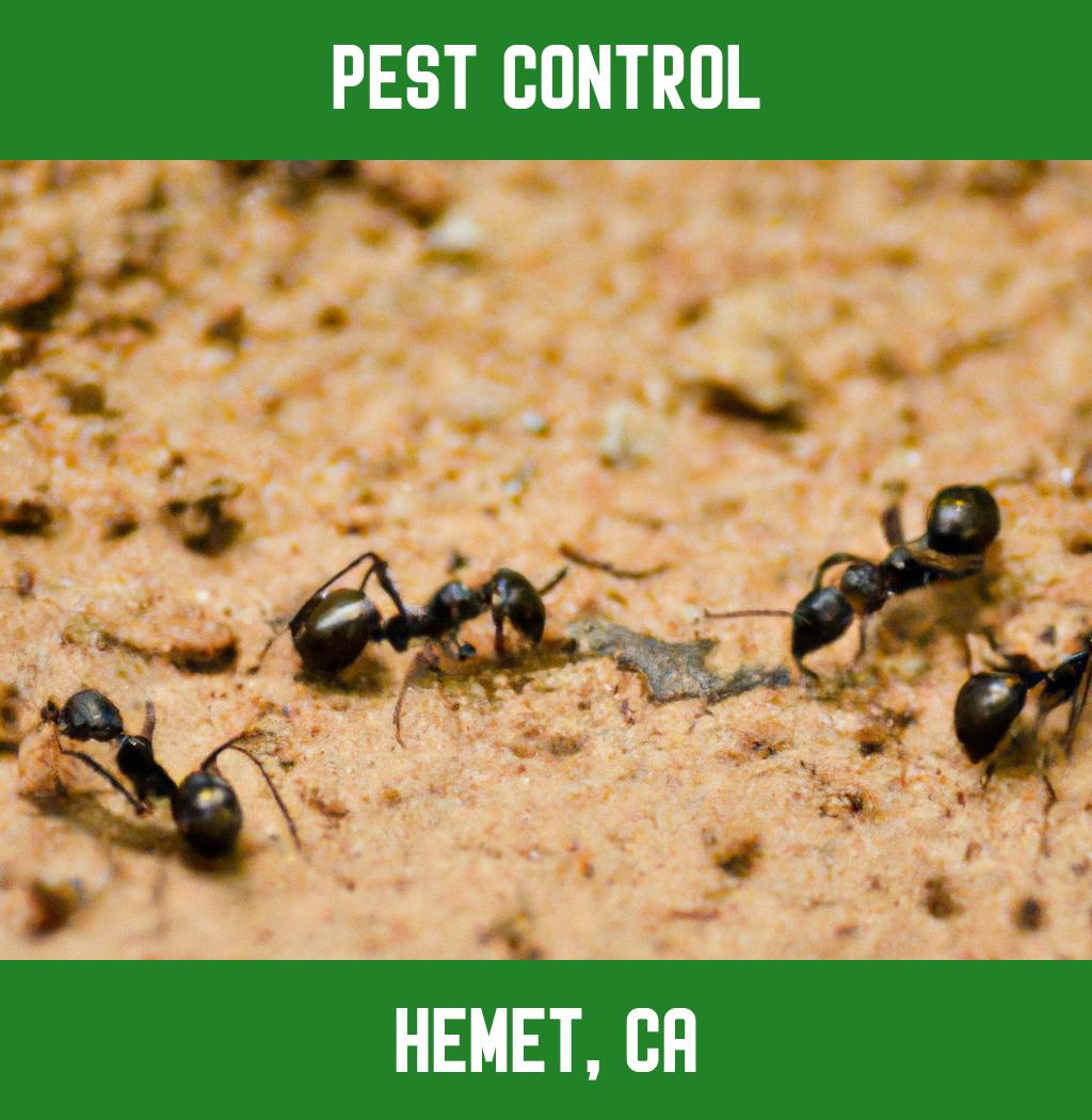 pest control in Hemet California