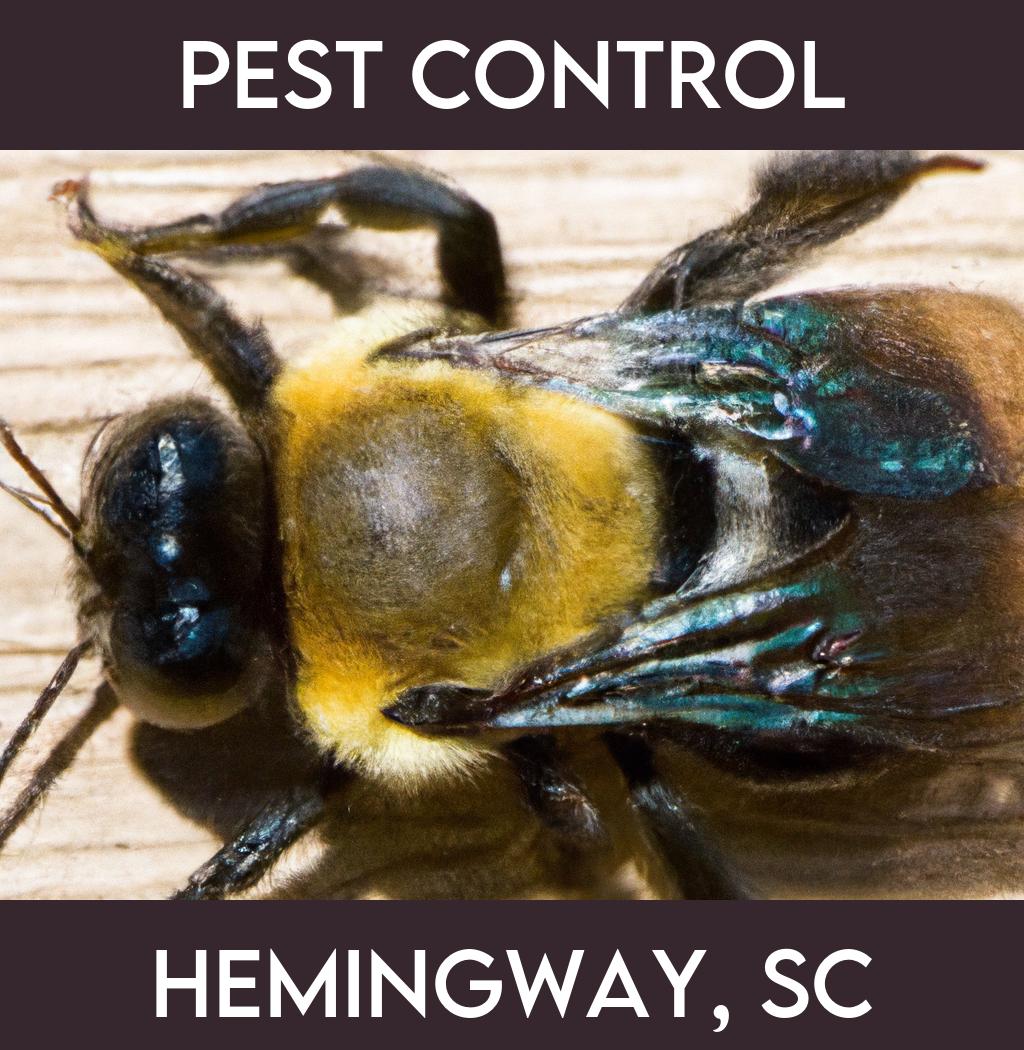 pest control in Hemingway South Carolina