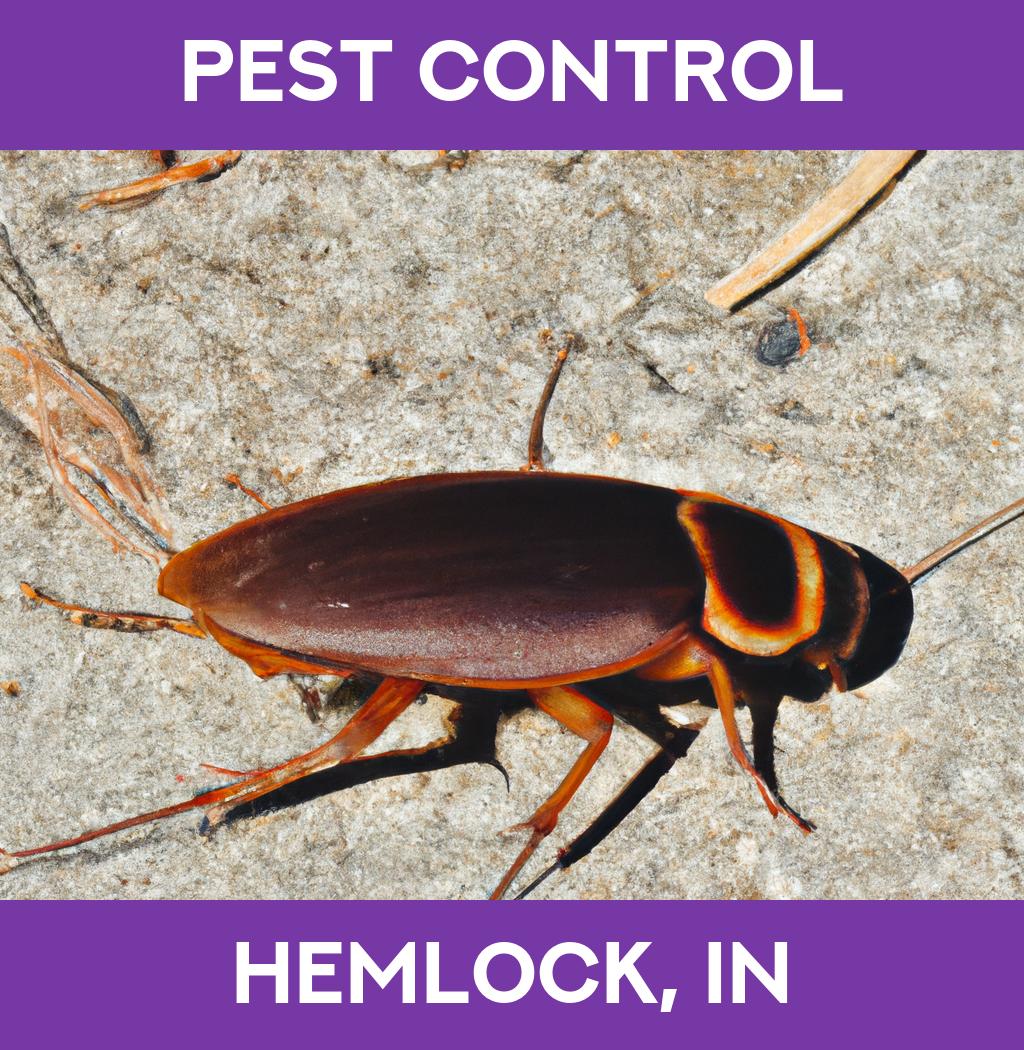 pest control in Hemlock Indiana
