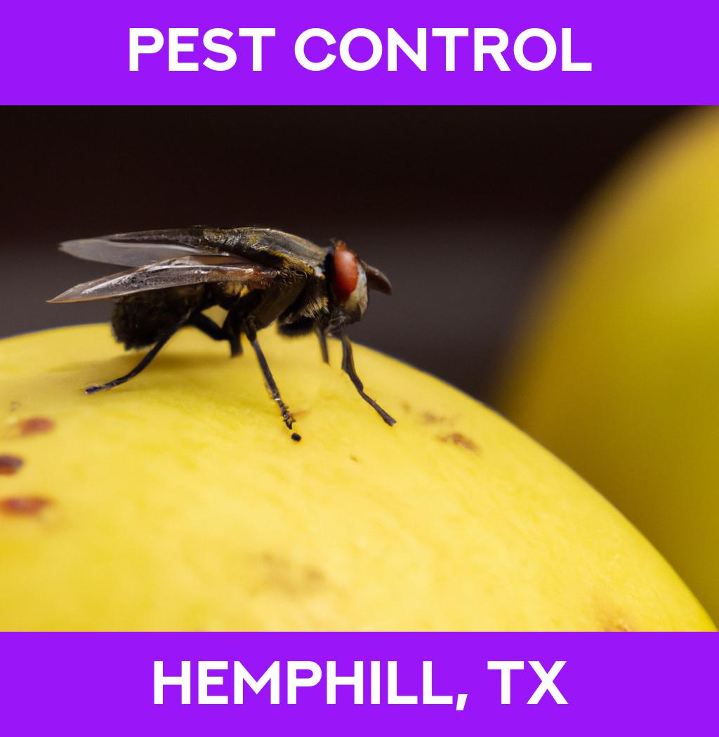 pest control in Hemphill Texas
