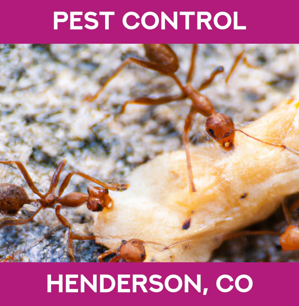pest control in Henderson Colorado