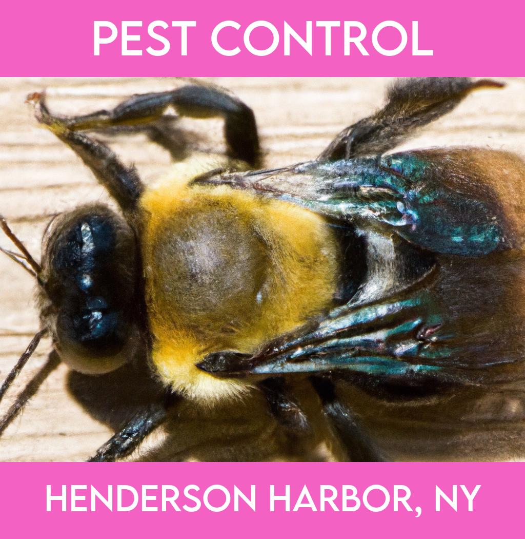 pest control in Henderson Harbor New York