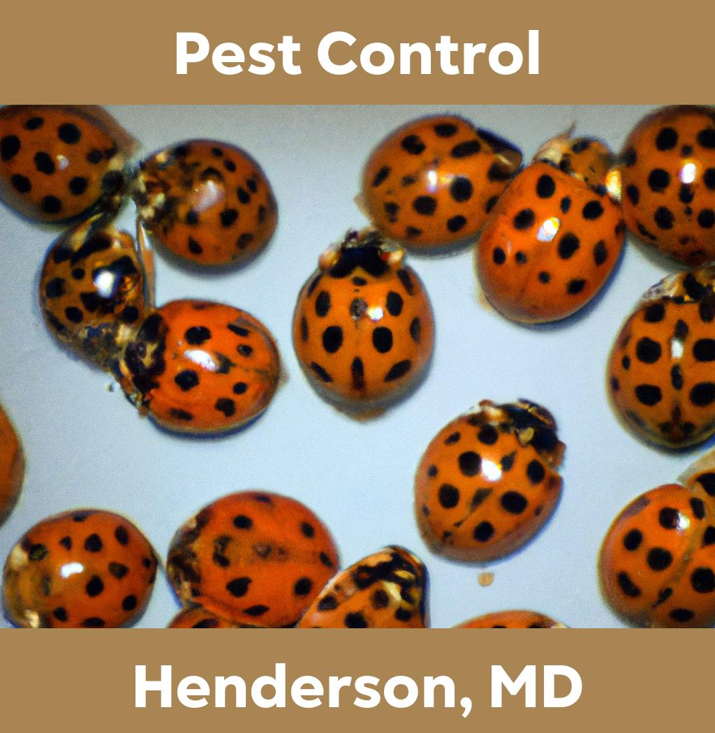 pest control in Henderson Maryland