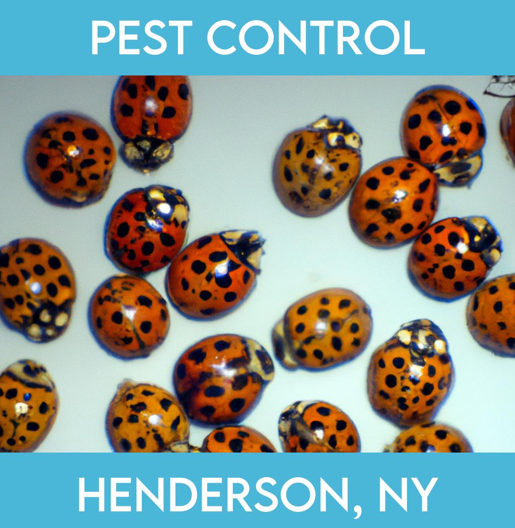 pest control in Henderson New York