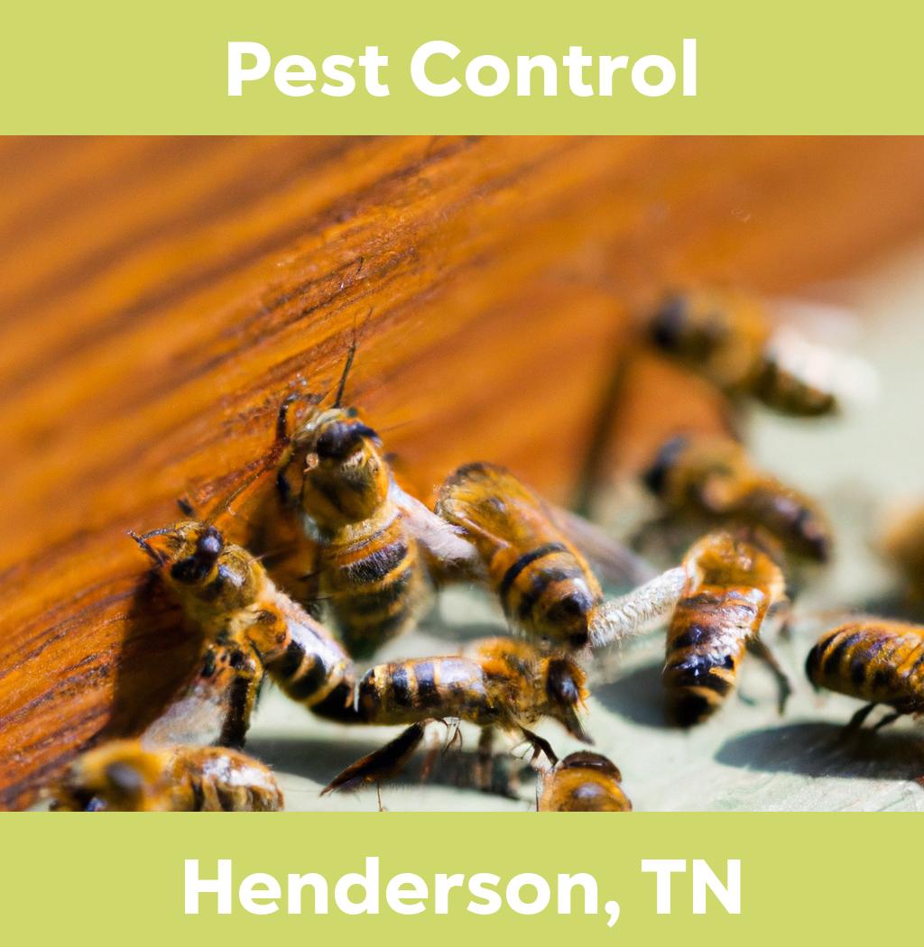 pest control in Henderson Tennessee