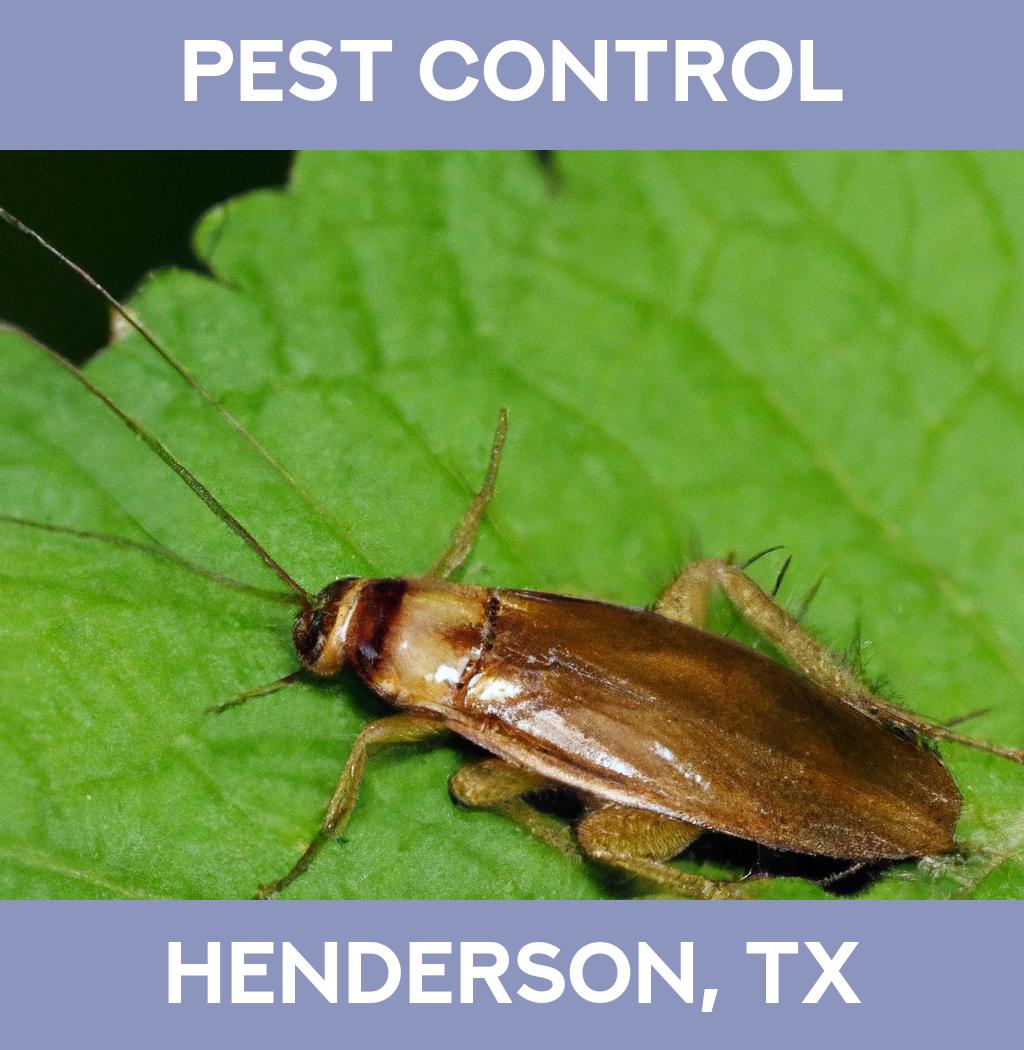 pest control in Henderson Texas