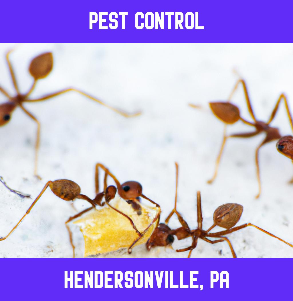 pest control in Hendersonville Pennsylvania