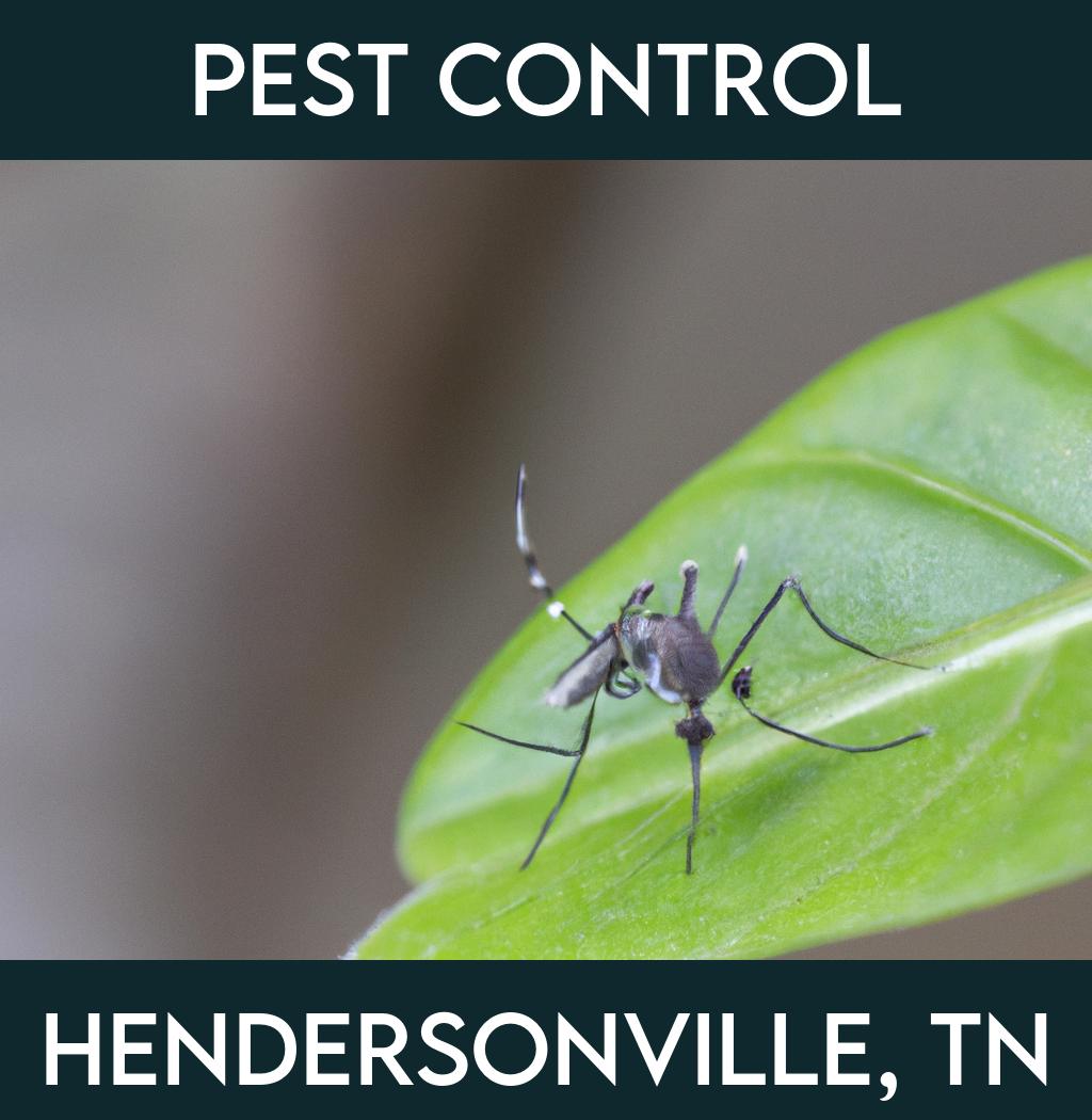 pest control in Hendersonville Tennessee