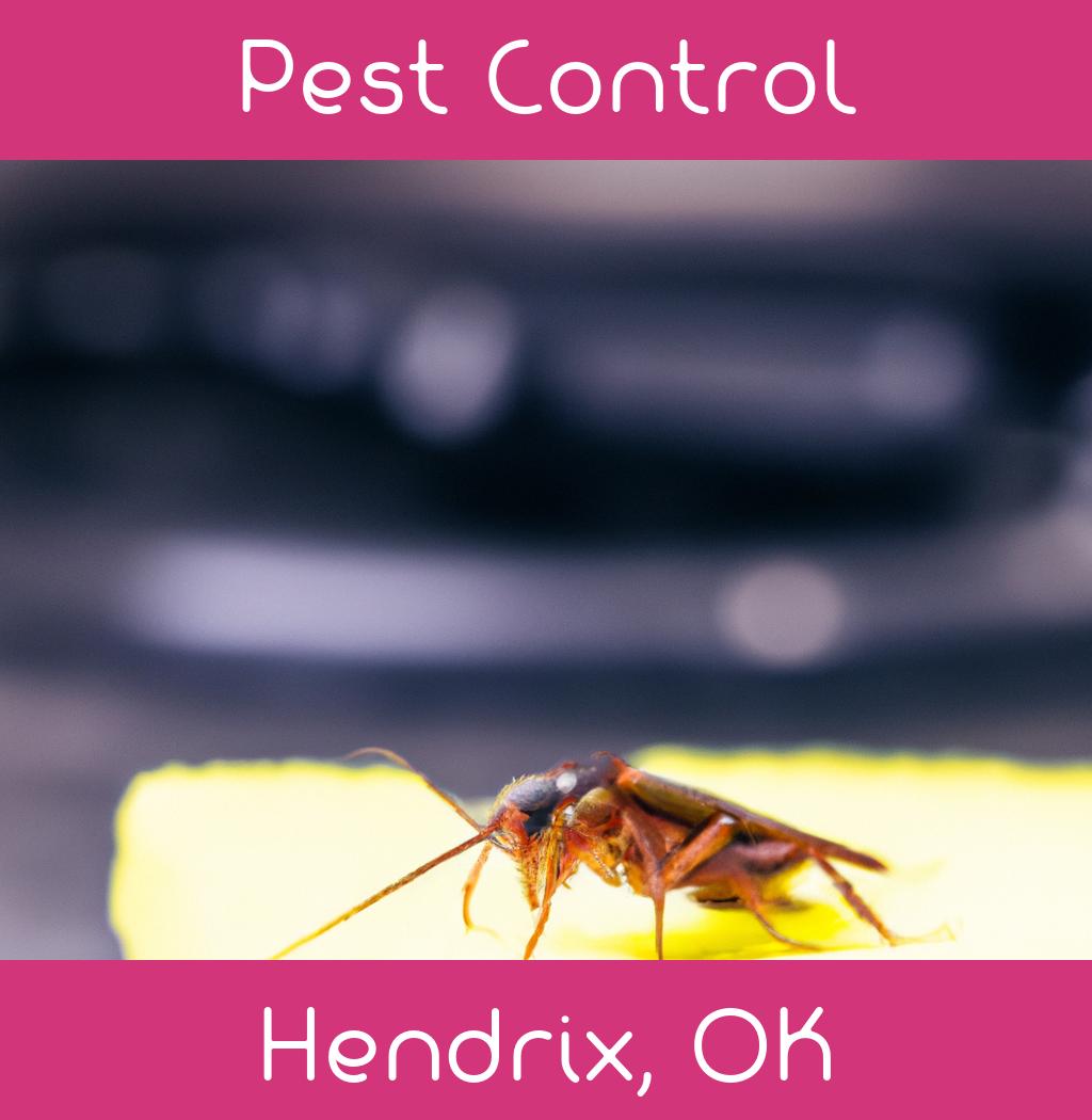 pest control in Hendrix Oklahoma