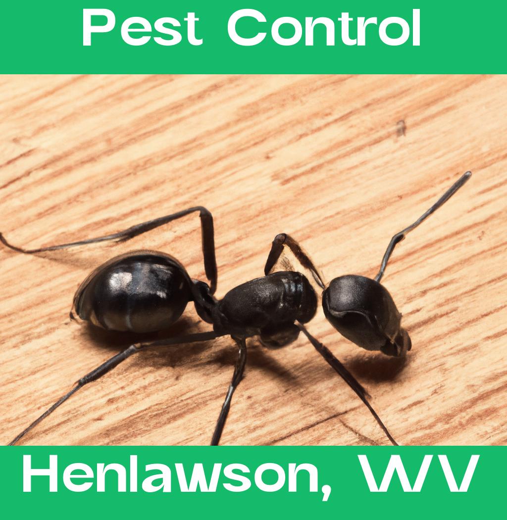 pest control in Henlawson West Virginia
