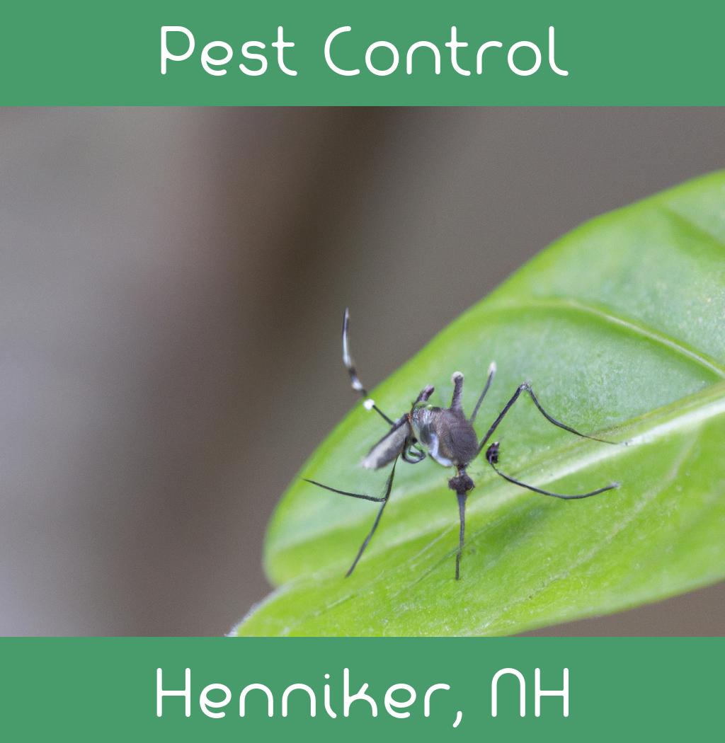 pest control in Henniker New Hampshire