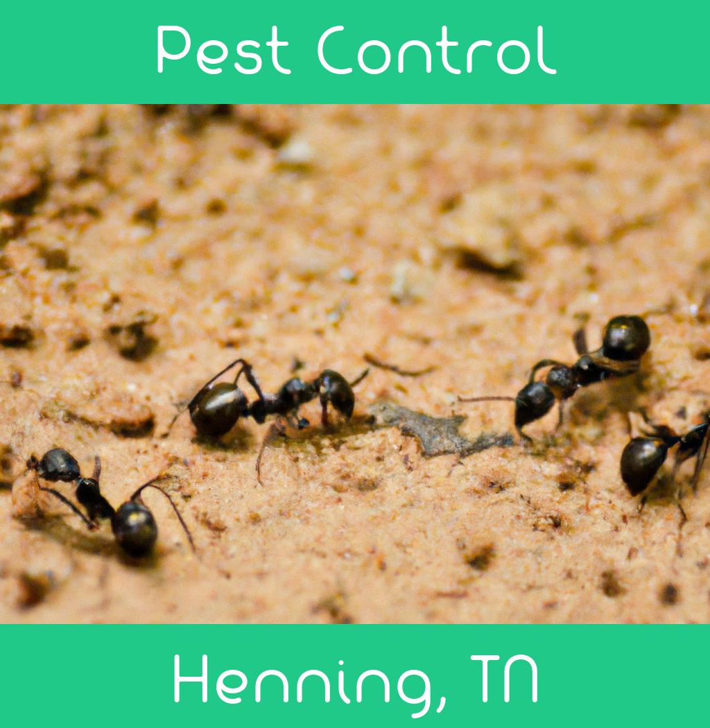 pest control in Henning Tennessee