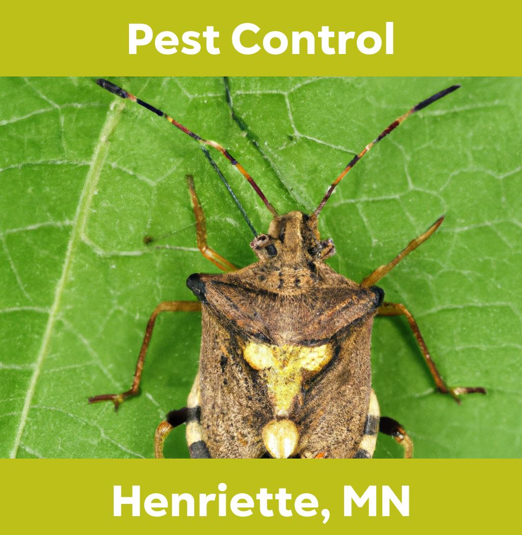 pest control in Henriette Minnesota