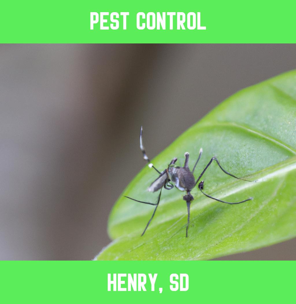 pest control in Henry South Dakota