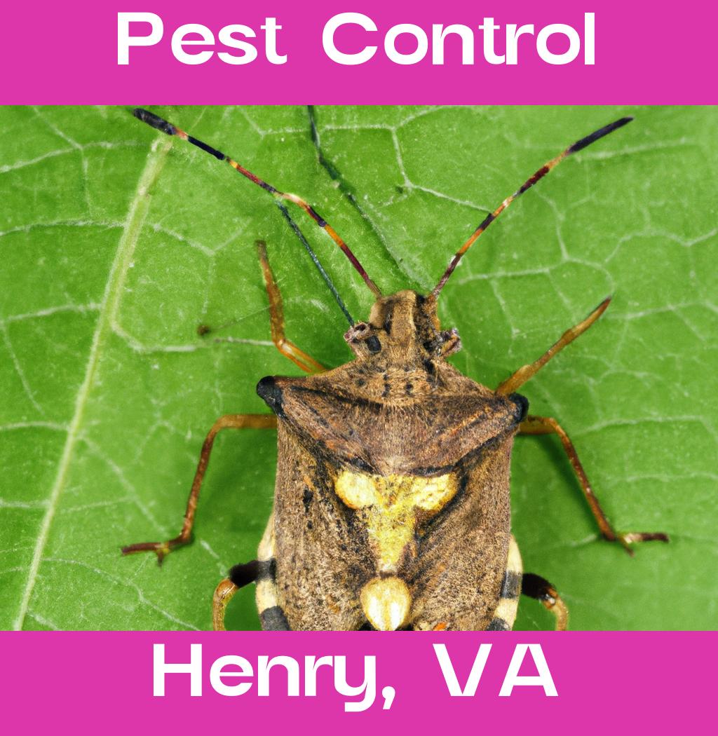 pest control in Henry Virginia