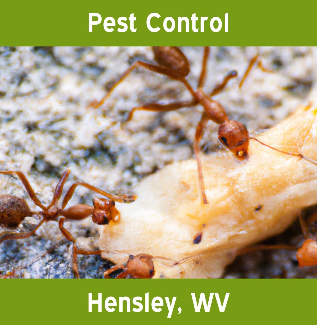 pest control in Hensley West Virginia