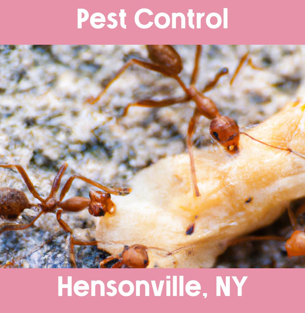 pest control in Hensonville New York