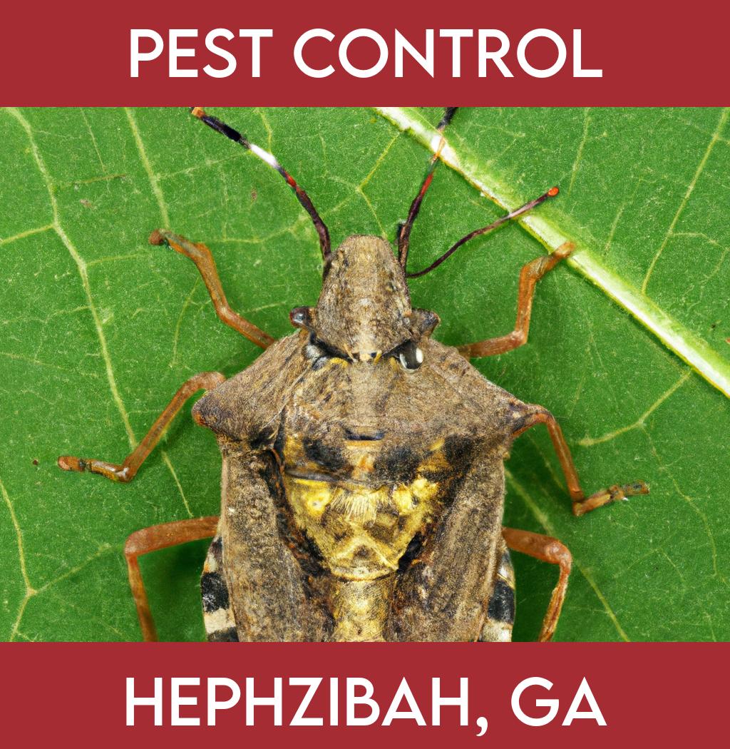 pest control in Hephzibah Georgia