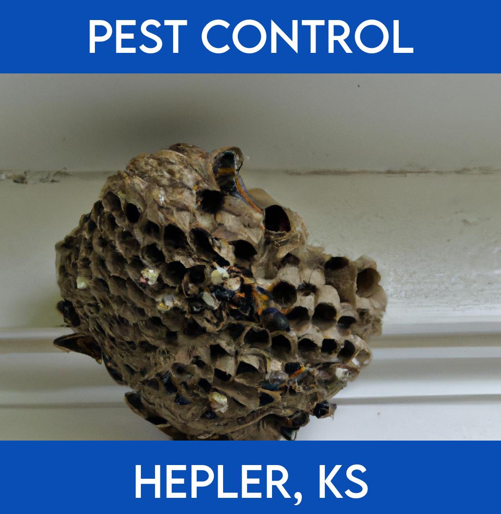pest control in Hepler Kansas