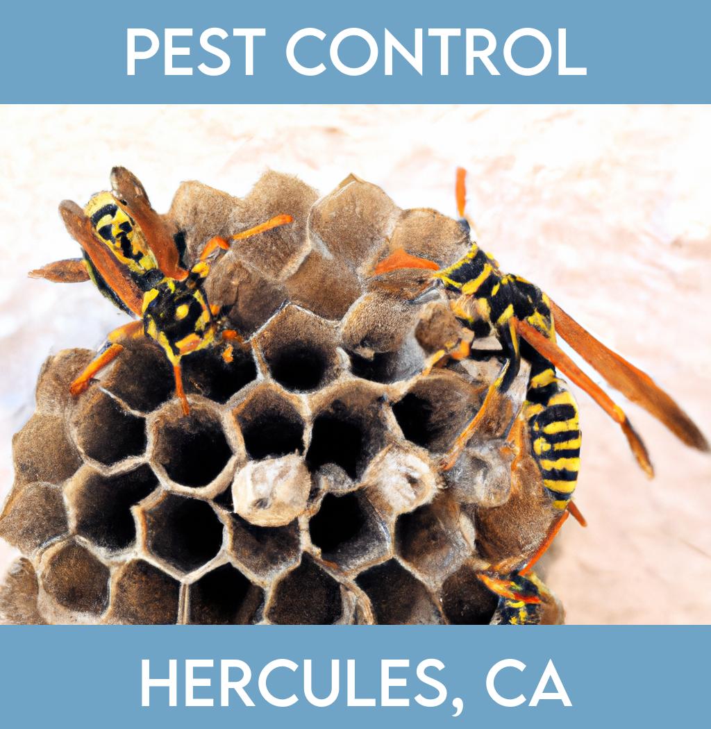 pest control in Hercules California