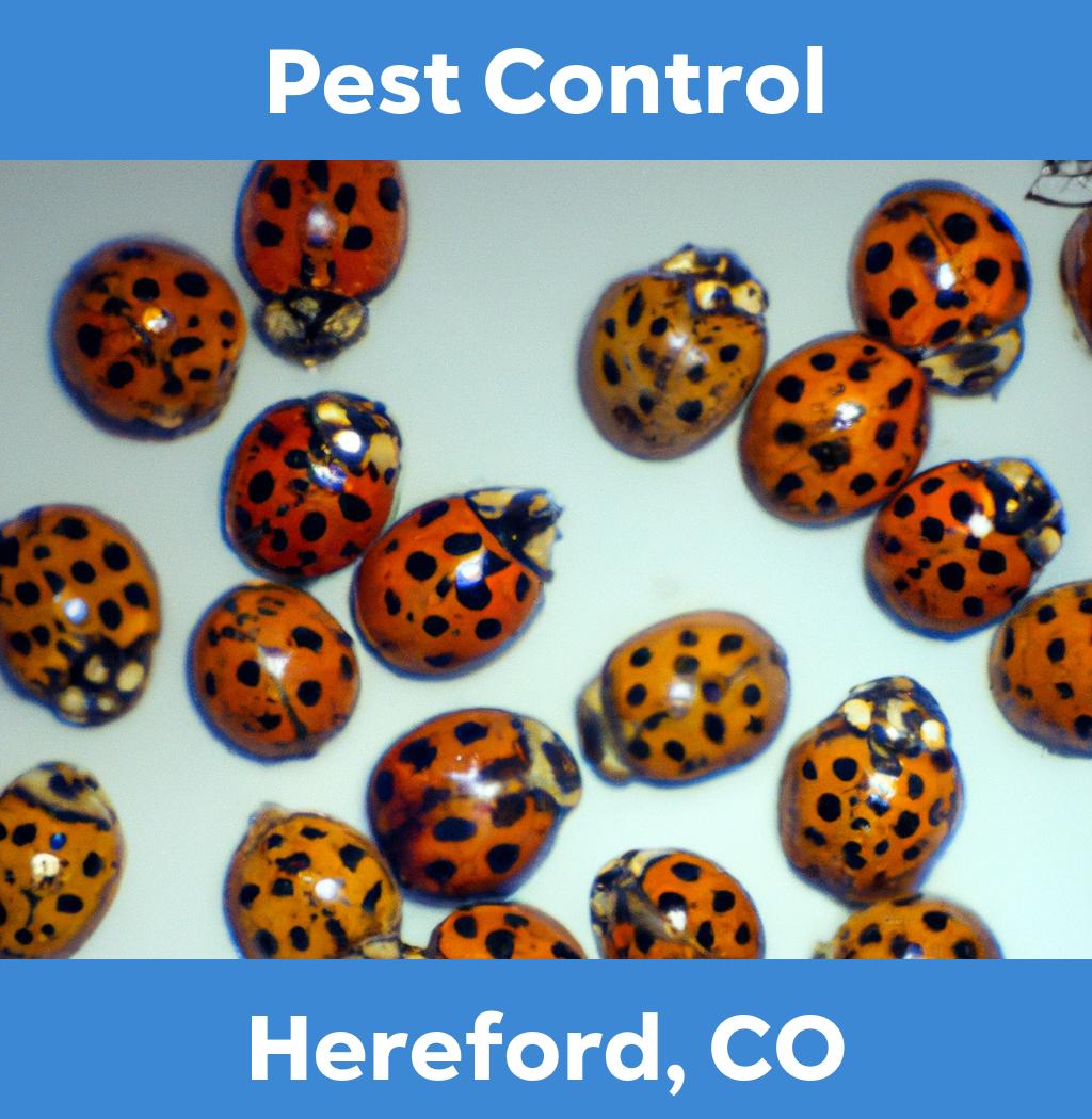 pest control in Hereford Colorado