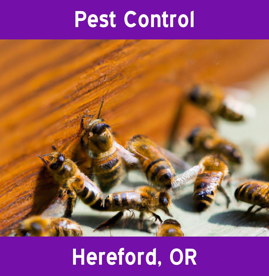 pest control in Hereford Oregon