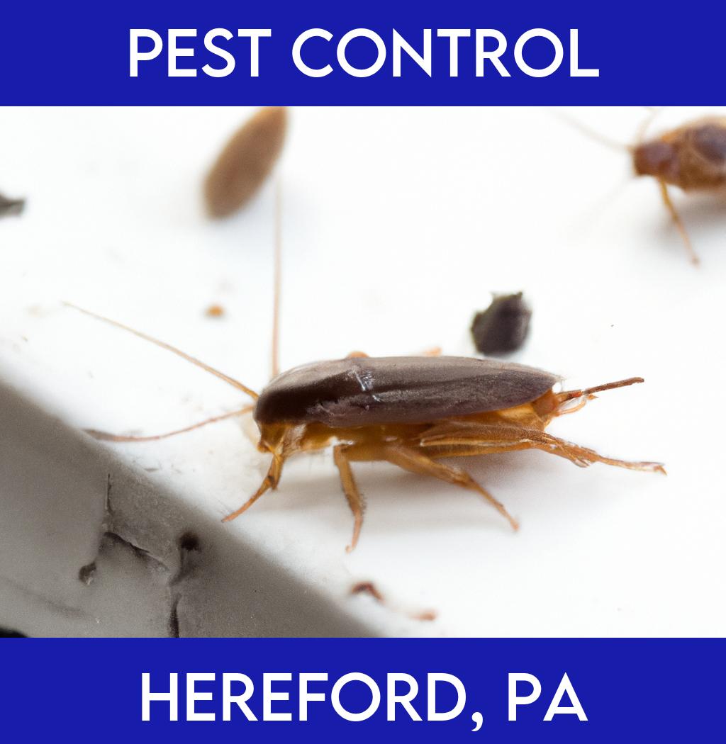 pest control in Hereford Pennsylvania