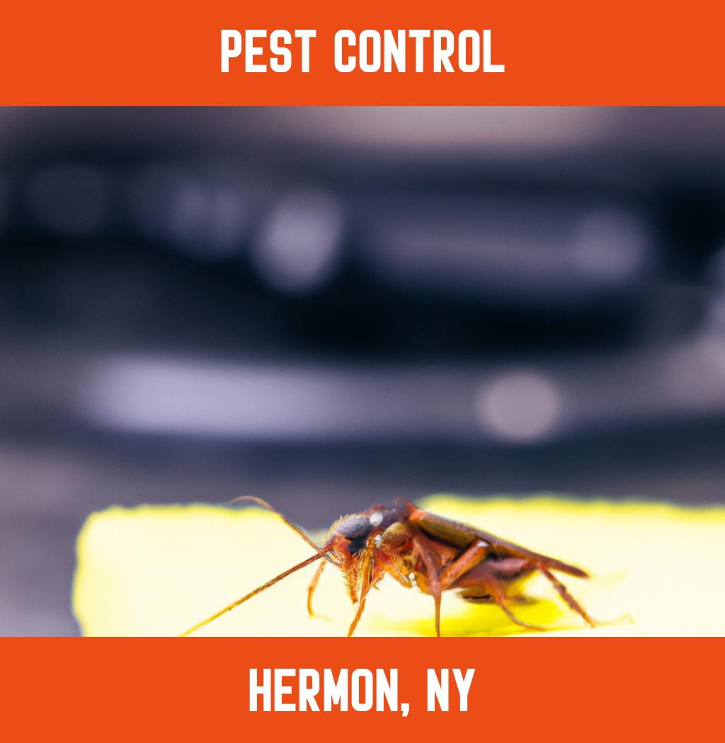 pest control in Hermon New York