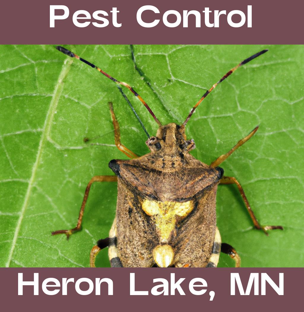 pest control in Heron Lake Minnesota