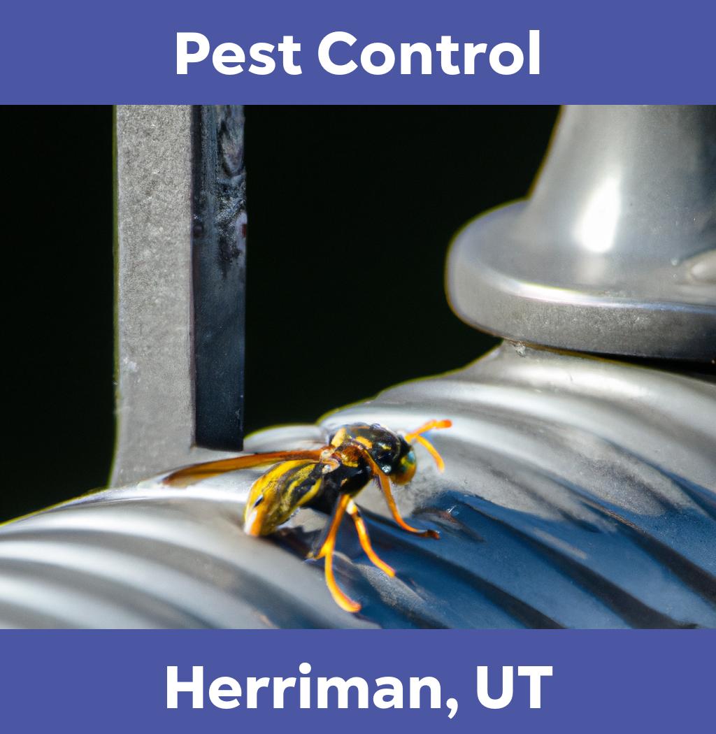 pest control in Herriman Utah