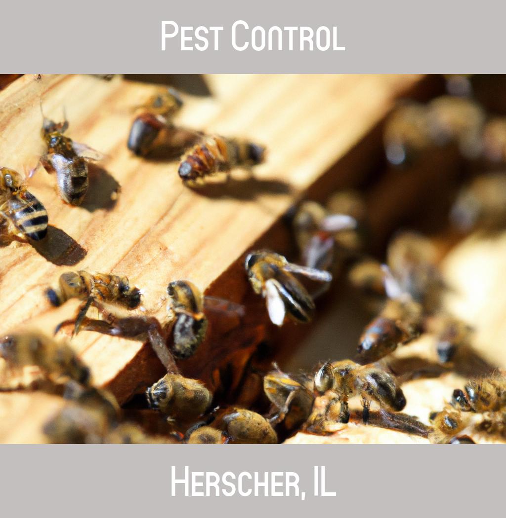 pest control in Herscher Illinois