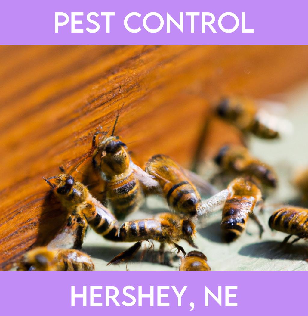 pest control in Hershey Nebraska