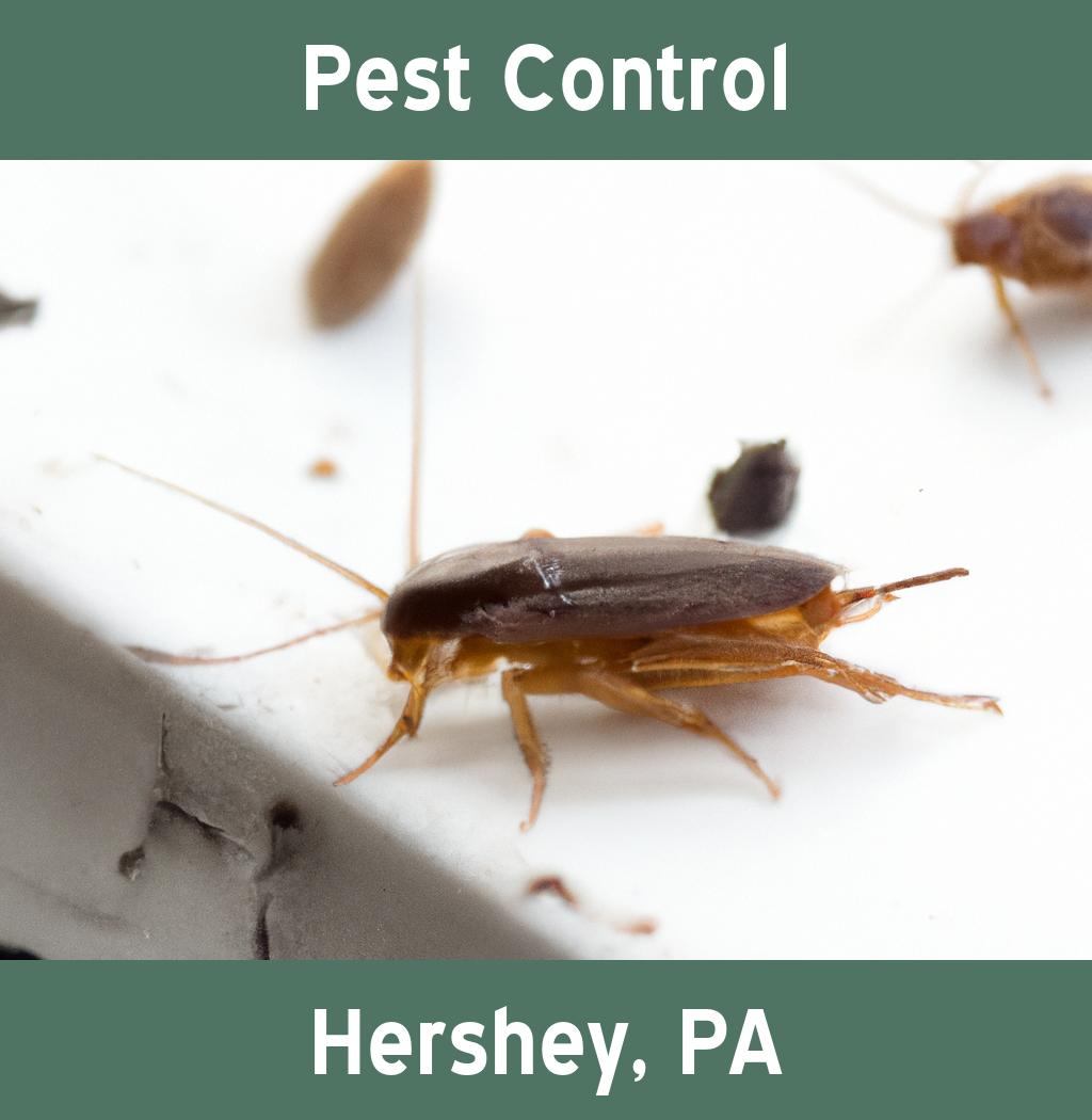 pest control in Hershey Pennsylvania