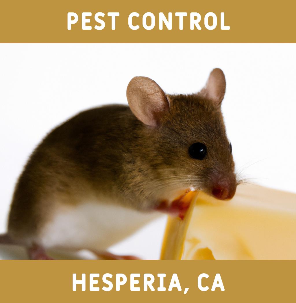 pest control in Hesperia California