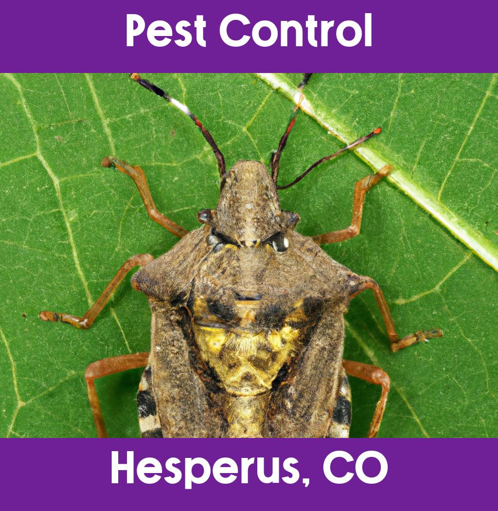 pest control in Hesperus Colorado