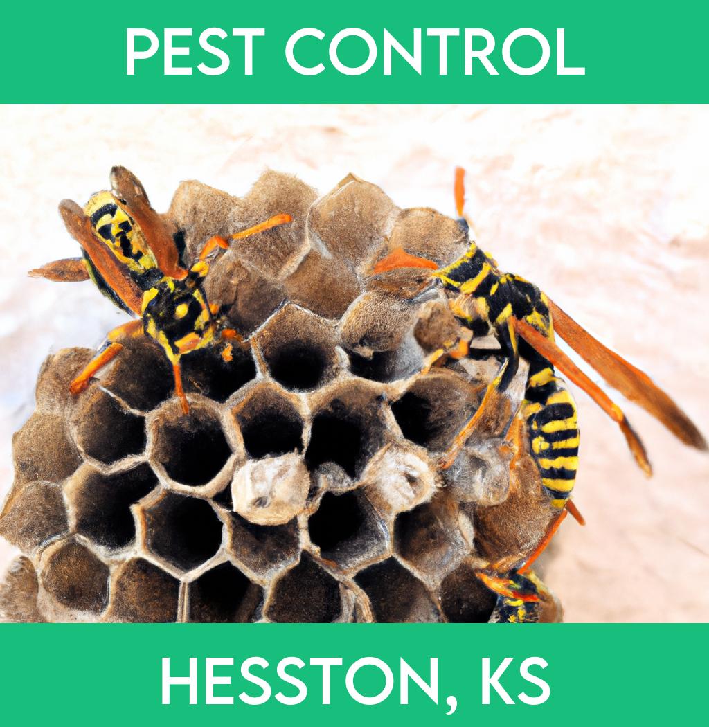 pest control in Hesston Kansas