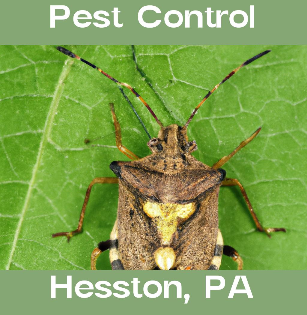 pest control in Hesston Pennsylvania