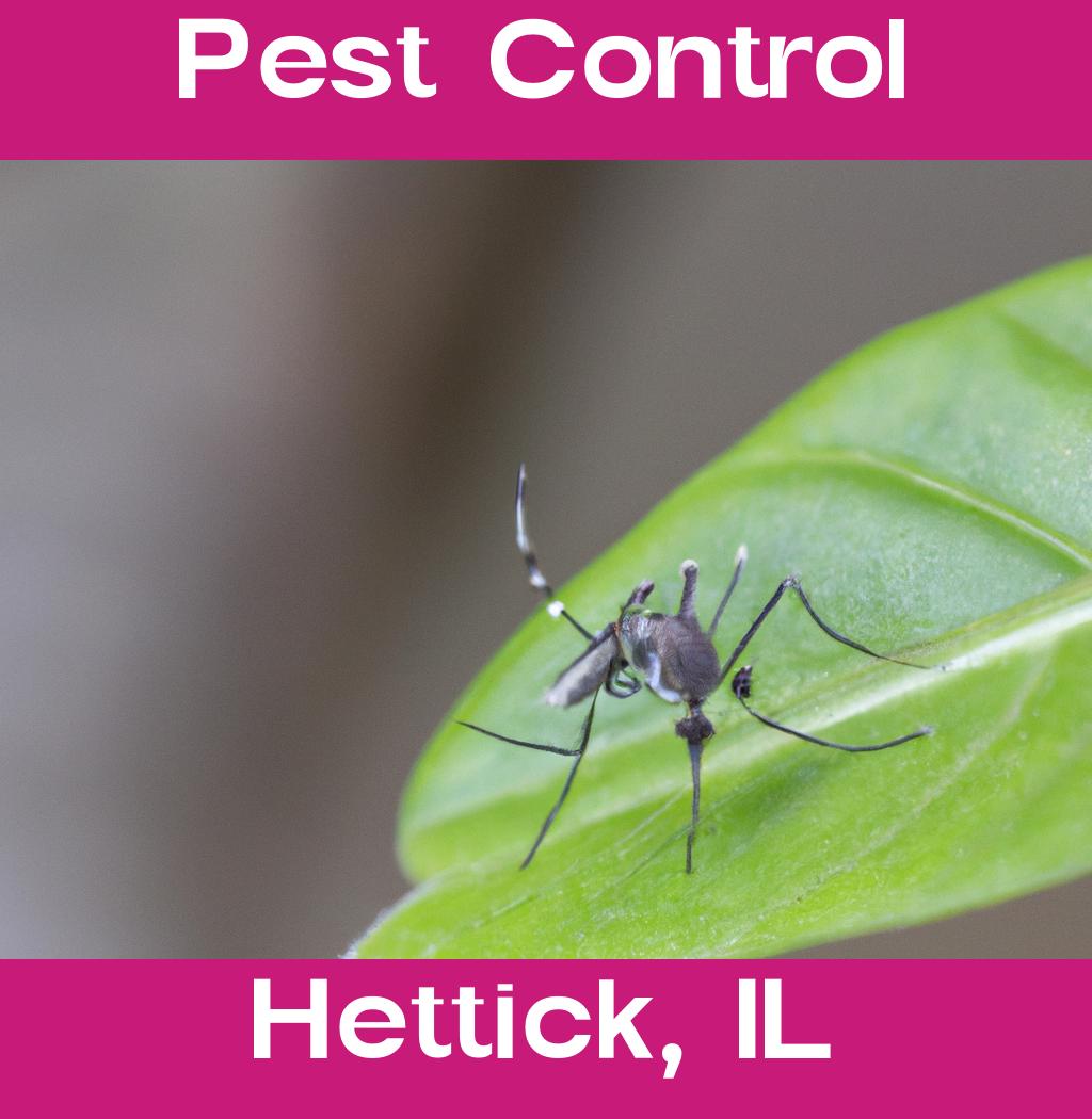 pest control in Hettick Illinois