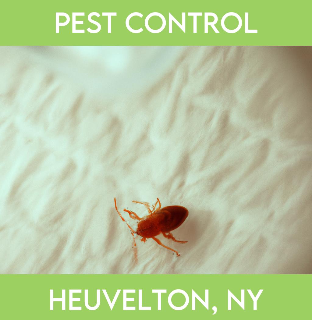 pest control in Heuvelton New York