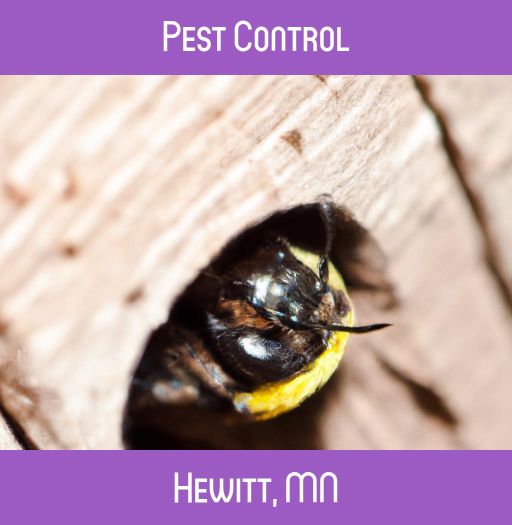 pest control in Hewitt Minnesota