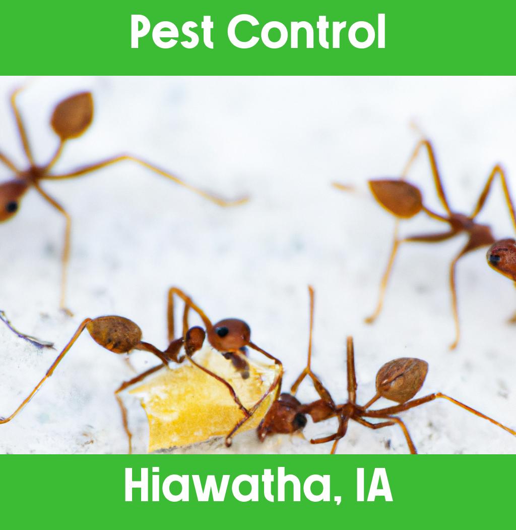 pest control in Hiawatha Iowa