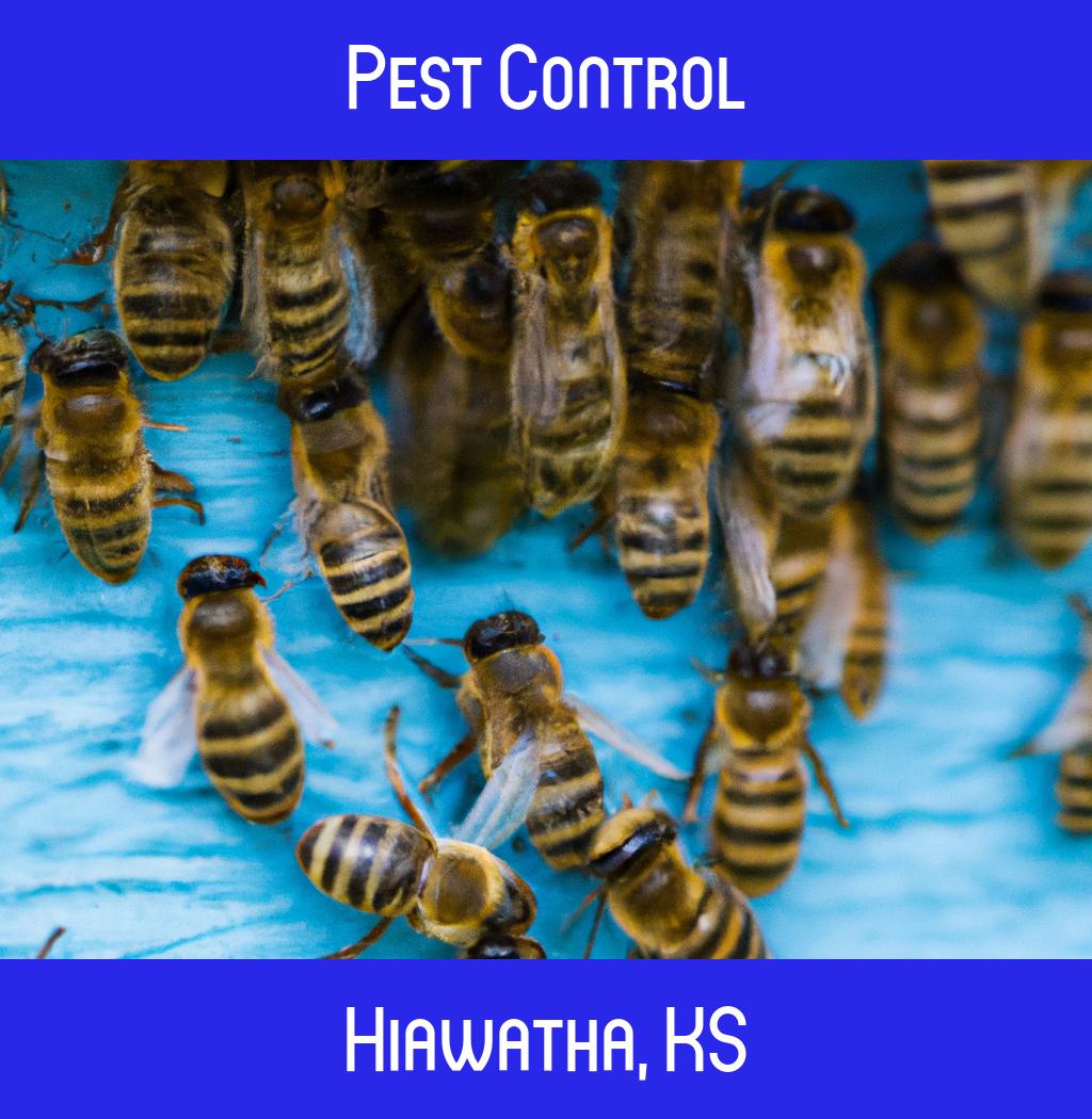 pest control in Hiawatha Kansas