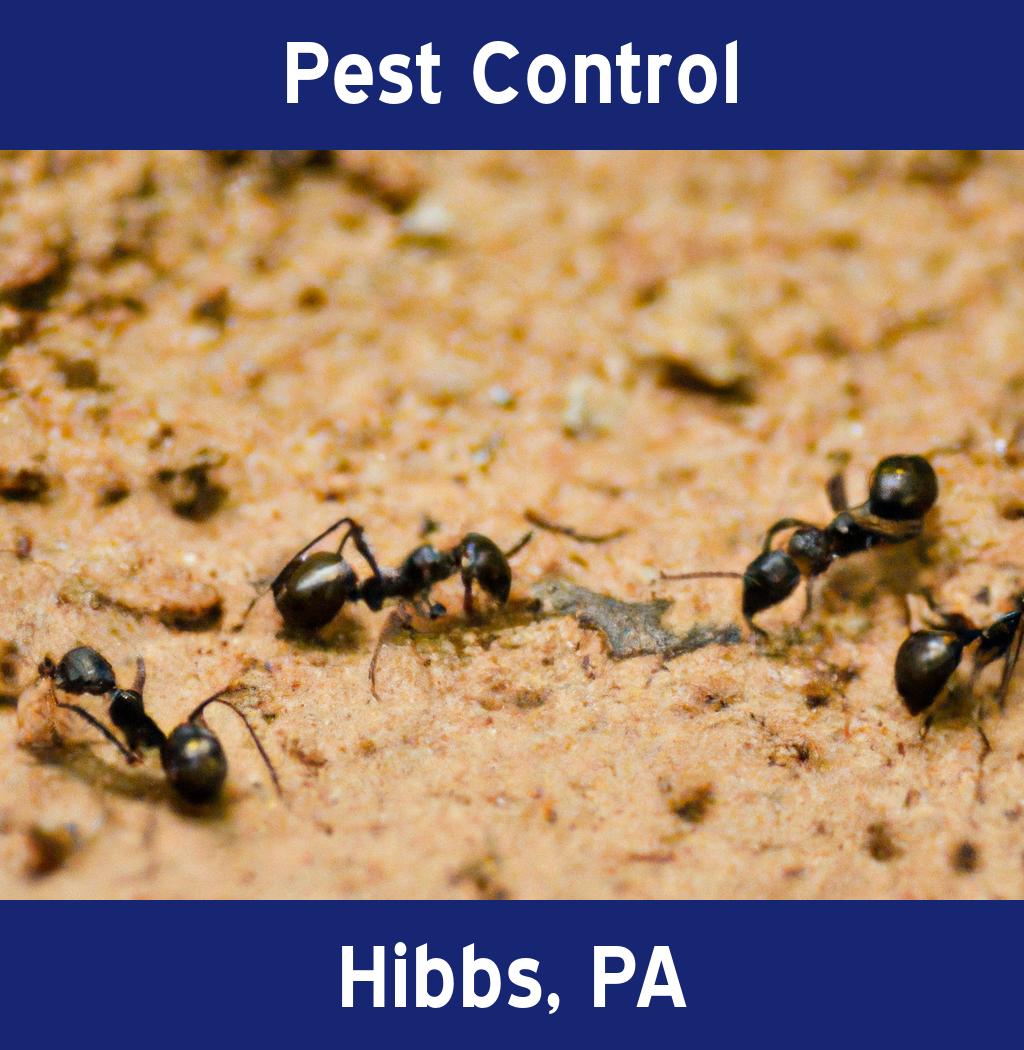 pest control in Hibbs Pennsylvania