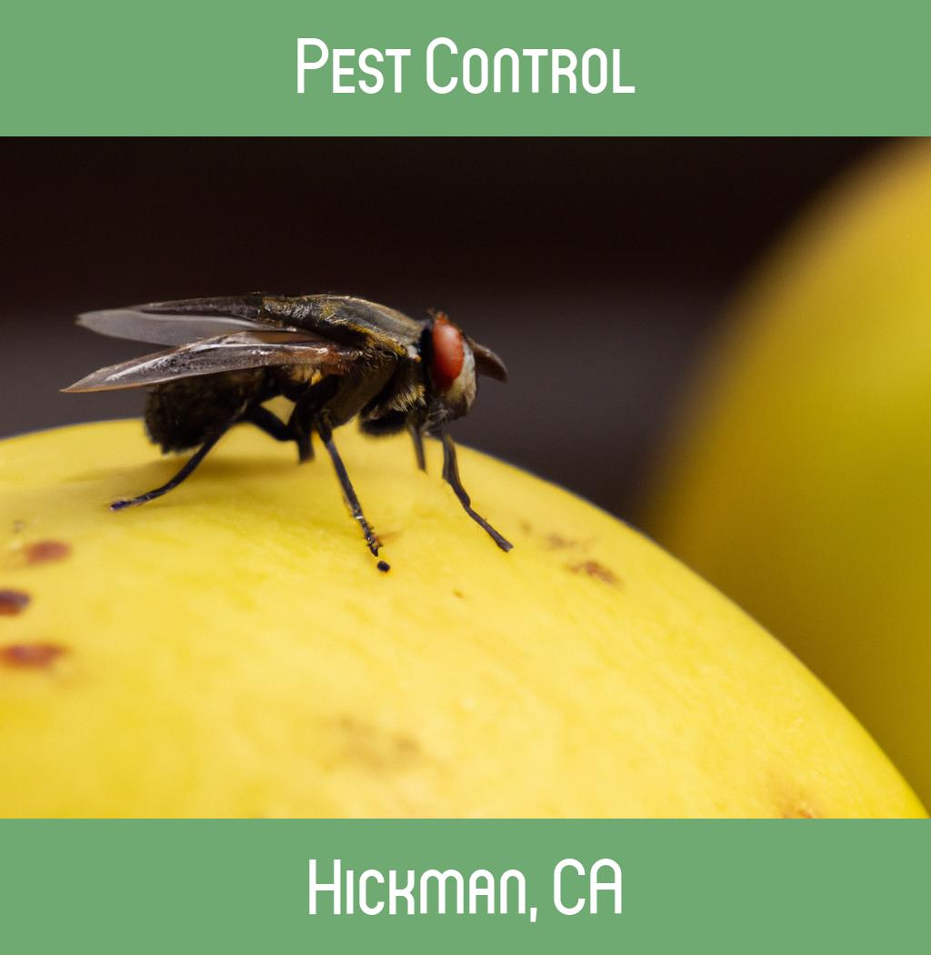 pest control in Hickman California